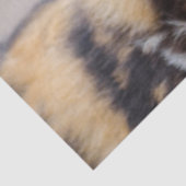 Papier Mousseline Chien sauvage africain (Chien peint) (Détail)