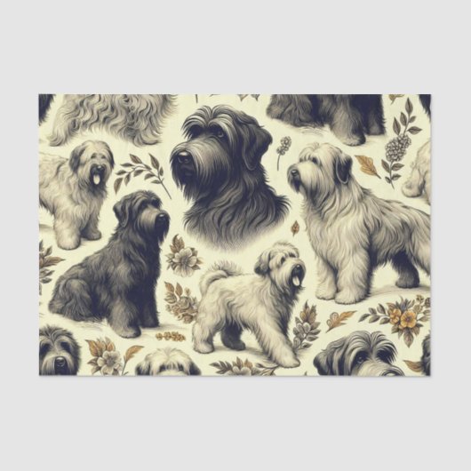Papier Mousseline Chien vintage Briard sans soudure (Recto)