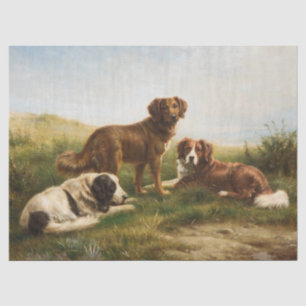 Papier Mousseline Chiens Brown vintages Reposant Sur Le Plateau