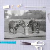 Papier Mousseline Chiens de Dachshund Boire de la bière (Artisanat)