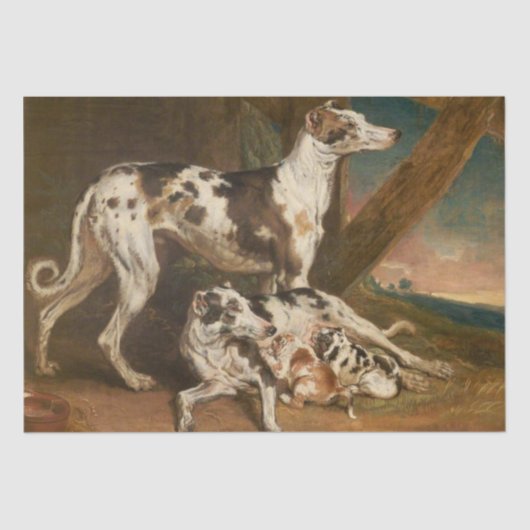 Papier Mousseline Chiens de Dalmatie (par James Ward) (Recto)