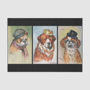 Papier Mousseline Chiens, triptyque de dessin animé