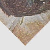 PAPIER MOUSSELINE CHIMP ART (Détail)