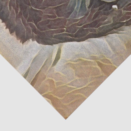 PAPIER MOUSSELINE CHIMP ART (Détail)