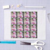 Papier Mousseline chintz rose de decoupage d'orchidée de 16 (Artisanat)