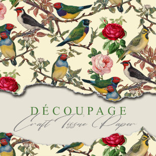 Papier Mousseline Chintzy Birds de Victoria et Motif Rose Vintage