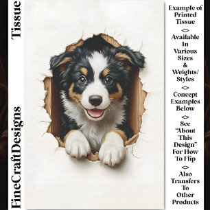 Papier Mousseline Chiot Border Collie mignon qui regarde CN7 Découpa