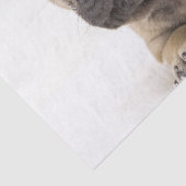 Papier Mousseline Chiot de France (Détail)