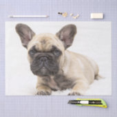 Papier Mousseline Chiot de France (Artisanat)