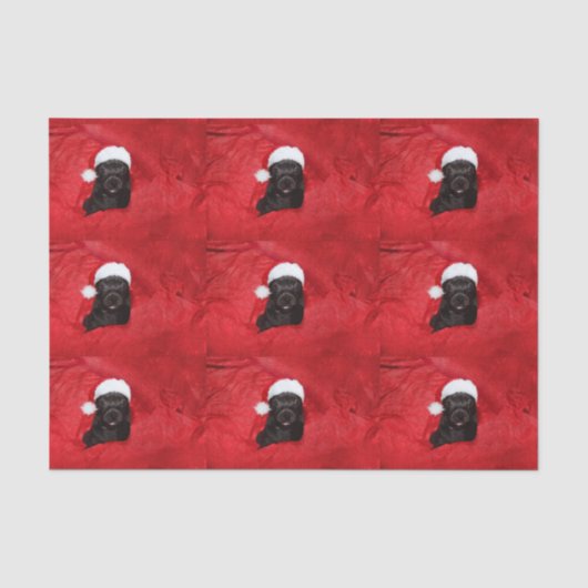 Papier Mousseline Chiot de Noël (Recto)