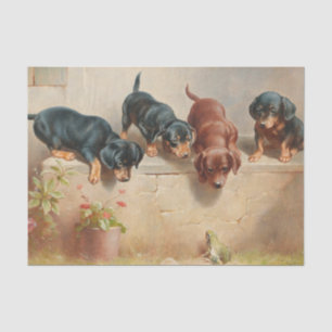 Papier Mousseline Chiots teckel curieux et une grenouille par Reiche