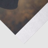Papier Mousseline Chiui élégant (Détail)