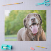 Papier Mousseline Chocolate Labrador Dog (Artisanat)