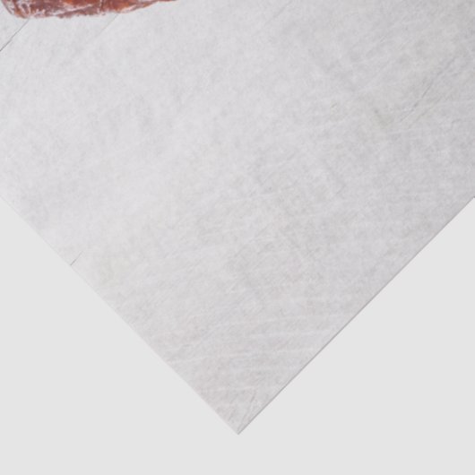 Papier Mousseline Chorizo Saucisson (Détail)