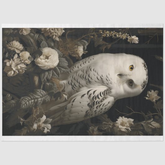 Papier Mousseline Chouette blanche (Recto)