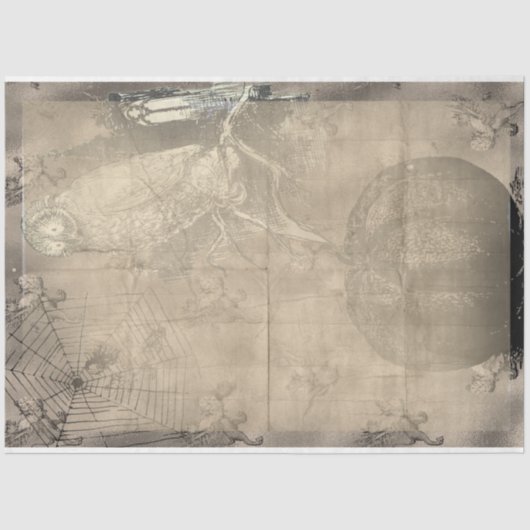 Papier Mousseline Chouette d'Halloween et Citrouille Déplaisant Vint (Recto)