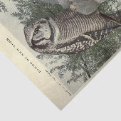 Papier Mousseline Chouette d'oiseaux Ephémère Découpage Vintage (Détail)