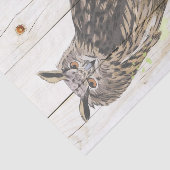 Papier Mousseline Chouette majestueuse sur planches de bois défraîch (Détail)