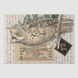 Papier Mousseline Chouette Oiseau Éphémère de script français Découp