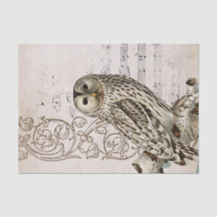 Papier Mousseline Chouette vintage Musique Scroll Vines Parchemin