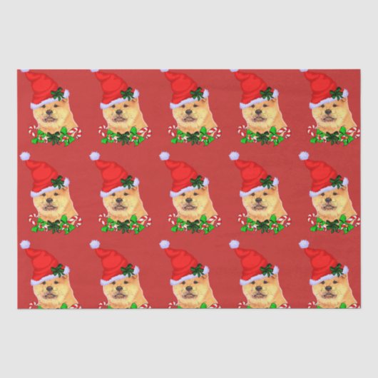 Papier Mousseline Chow Chow Noël (Recto)