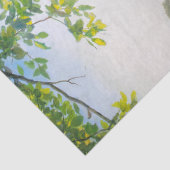 Papier Mousseline Christ et la femme samaritaine par Carl Bloch (Détail)