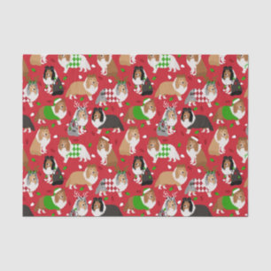 Papier Mousseline Christmas Shelter Shetland Sheepdog