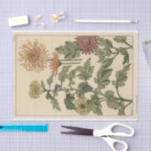 Papier Mousseline Chrysanthèmes, série botanique d'Eugene Grasset (Artisanat)