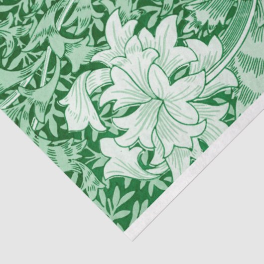 Papier Mousseline Chrysanthemum Green, William Morris (Détail)