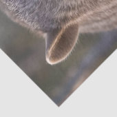 Papier Mousseline Chubby The Australian Wombat, (Détail)