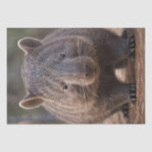 Papier Mousseline Chubby The Australian Wombat, (Recto)