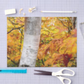 Papier Mousseline Chute Forêt Jaune Peint Feuille Birch Tree (Artisanat)