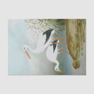 Papier Mousseline cigogne blanche, illustrations d'oiseaux