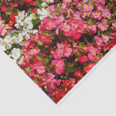 Papier Mousseline Cire colorée Begonias (Détail)