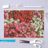Papier Mousseline Cire colorée Begonias (Artisanat)