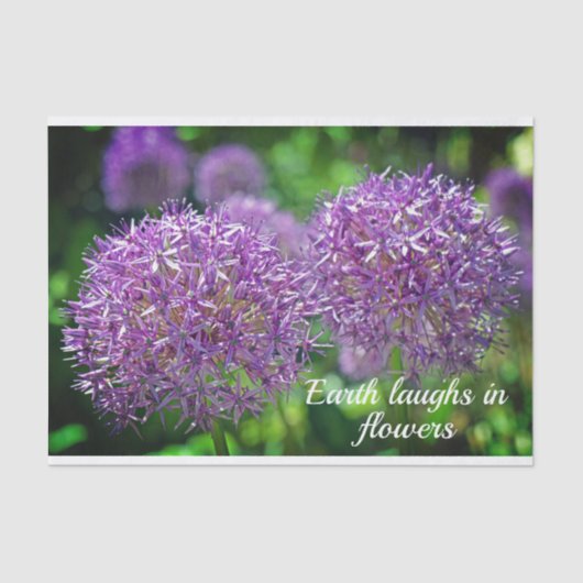 Papier Mousseline Citation de jardin violet Allium Flowers (Recto)