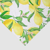 Papier Mousseline Citron Fabriqué Sur Papier Tissu Vin (Détail)