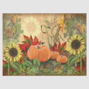 Papier Mousseline Citrouille Automne Tournesol automne