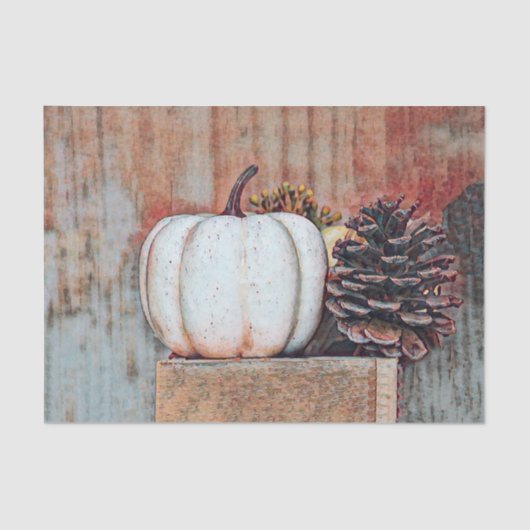 Papier Mousseline Citrouille Blanc Automne Rustique Pays Ferme (Recto)