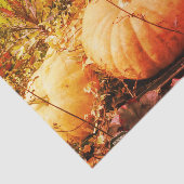 Papier Mousseline Citrouilles Et Plantes D'Automne Découpage Vintage (Détail)