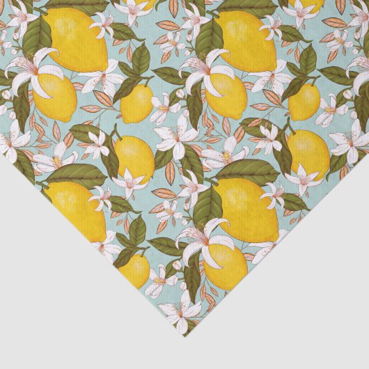 Papier Mousseline Citrus (Détail)