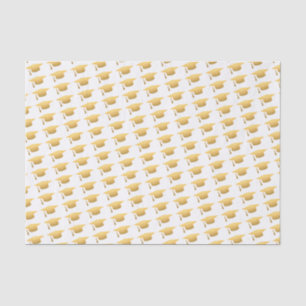 Papier Mousseline Classe à la mode de fête de remise des diplômes