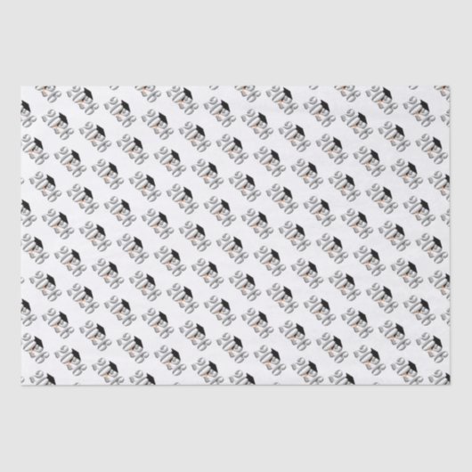 Papier Mousseline Classe Argent de 2026 Graduation (Recto)