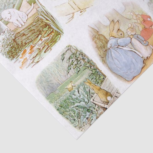 Papier Mousseline Classic Beatrix Potter (Détail)
