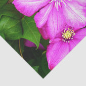 Papier Mousseline Clematis (Détail)
