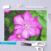 Papier Mousseline Clematis (Artisanat)