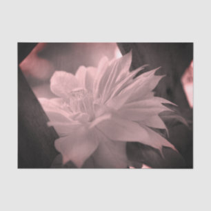 Papier Mousseline Clematis Fleur Noir Et Blanc Vintage Découpage
