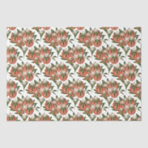 Clementine Little Cutie | Baby shower Citrus