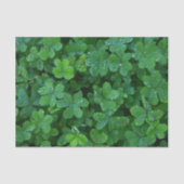 Papier Mousseline Clocher et vue (Recto)