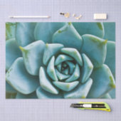 Papier Mousseline Closeup Succulent (Artisanat)